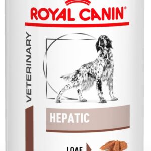 617VmUq6RdL. AC SL1500 .jpg