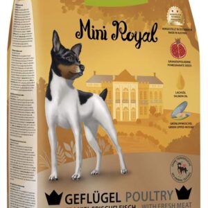 6192LgikKL. AC SL1200 .jpg