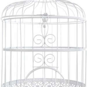 61AE4OjndXL. AC SL1500 .jpg