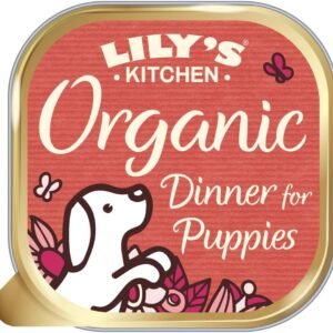 61AtCw16kL. AC SL1080 .jpg