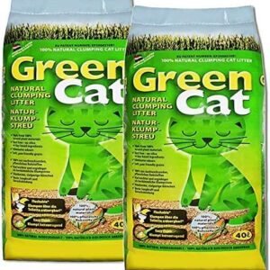 61AuKxQzWAL. AC .jpg