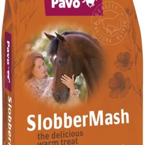 61AzOM6zA L. AC SL1200 .jpg