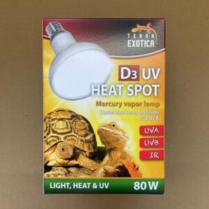 61BFQMvkALL. AC SL1000 .jpg