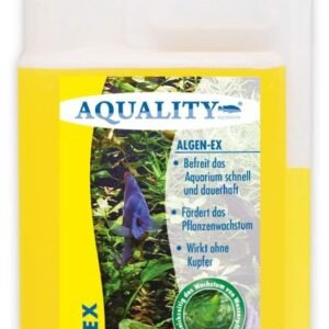 61BJPjXSpIL. AC SL1000 .jpg