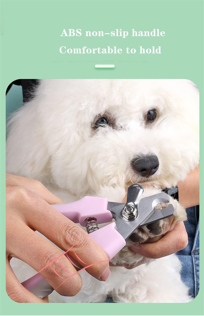 61BbNaxX0gL. AC SL1243 .jpg