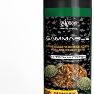 61Cp5od9e8L. AC SL1000 .jpg