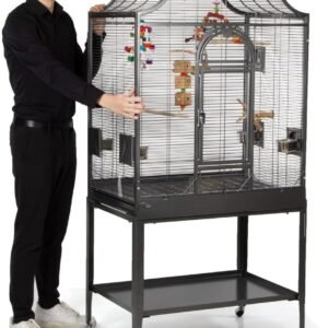 61D79a8gTL. AC SL1280 .jpg