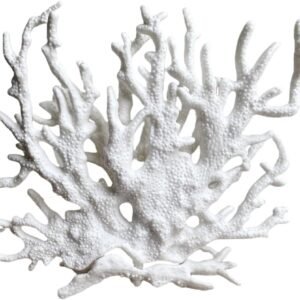 61DM46FLSRL. AC SL1080 .jpg