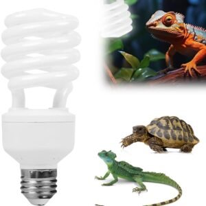 61DYPWaFy9L. AC SL1000 .jpg