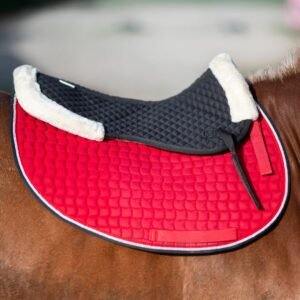 61E3RphxrPL. AC SL1080 .jpg