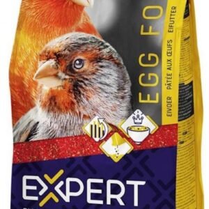 61EaWOPqBkL. AC SL1200 .jpg