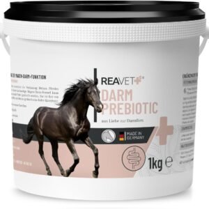 61EhaHRGYtL. AC SL1200 .jpg