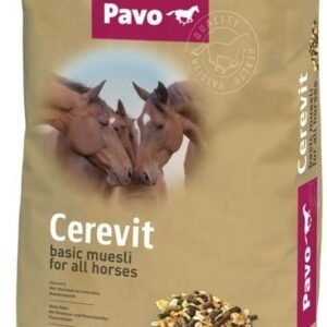 61FYwqfaElL. AC SL1000 .jpg