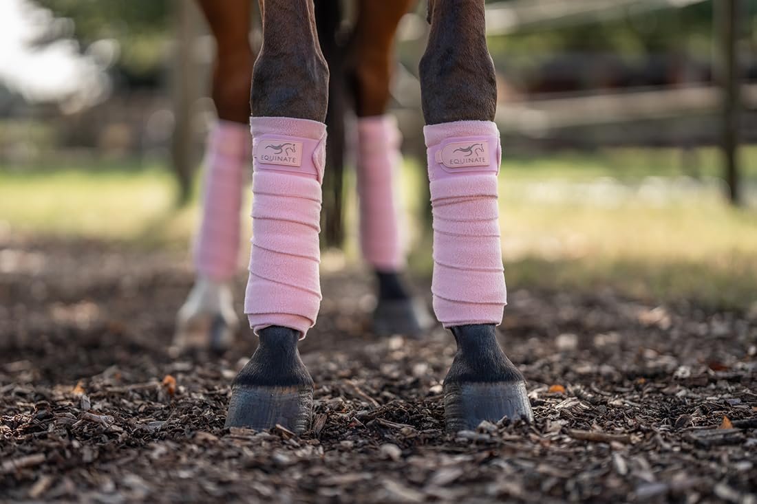 61FaCOAvg3L. AC SL1100 .jpg