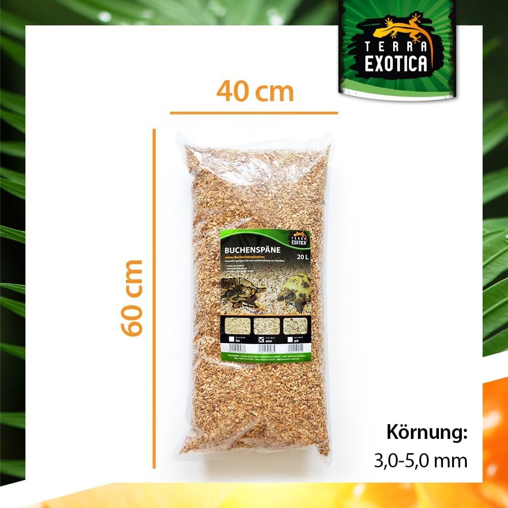 61FklcoWeL. AC SL1000 .jpg