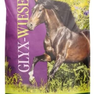 61FrEqC9TL. AC SL1000 .jpg