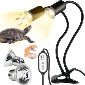 61Fv hedcwL. AC SL1000 .jpg