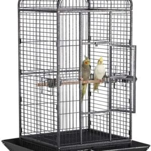 61G04x kb3L. AC SL1000 .jpg