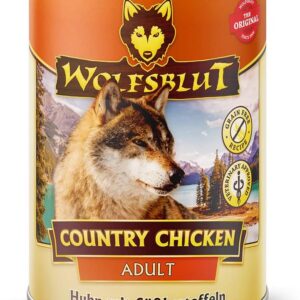 61G2VxgwBML. AC SL1000 .jpg