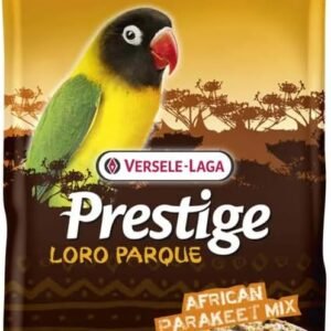 61G7wlJvYFL. AC SL1000 .jpg