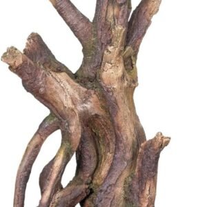 61GXHuLL8tL. AC SL1000 .jpg