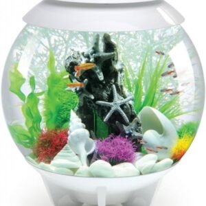 61GdQq7VF0L. AC SL1024 .jpg