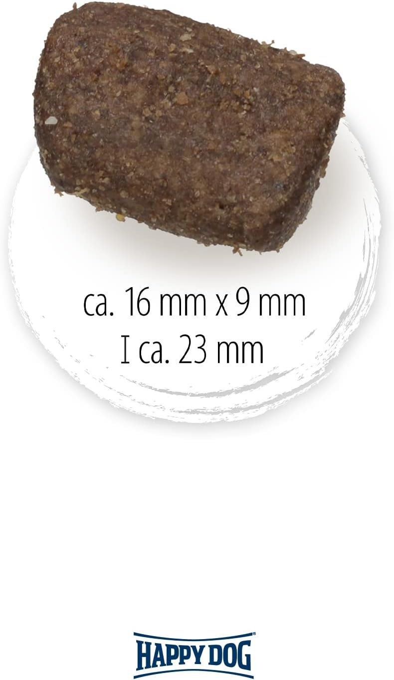 61H4pD5XaxL. AC SL1500 .jpg