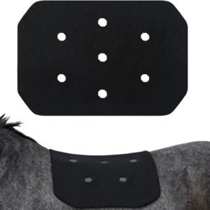 61ICTOrs9aL. AC SL1500 .jpg