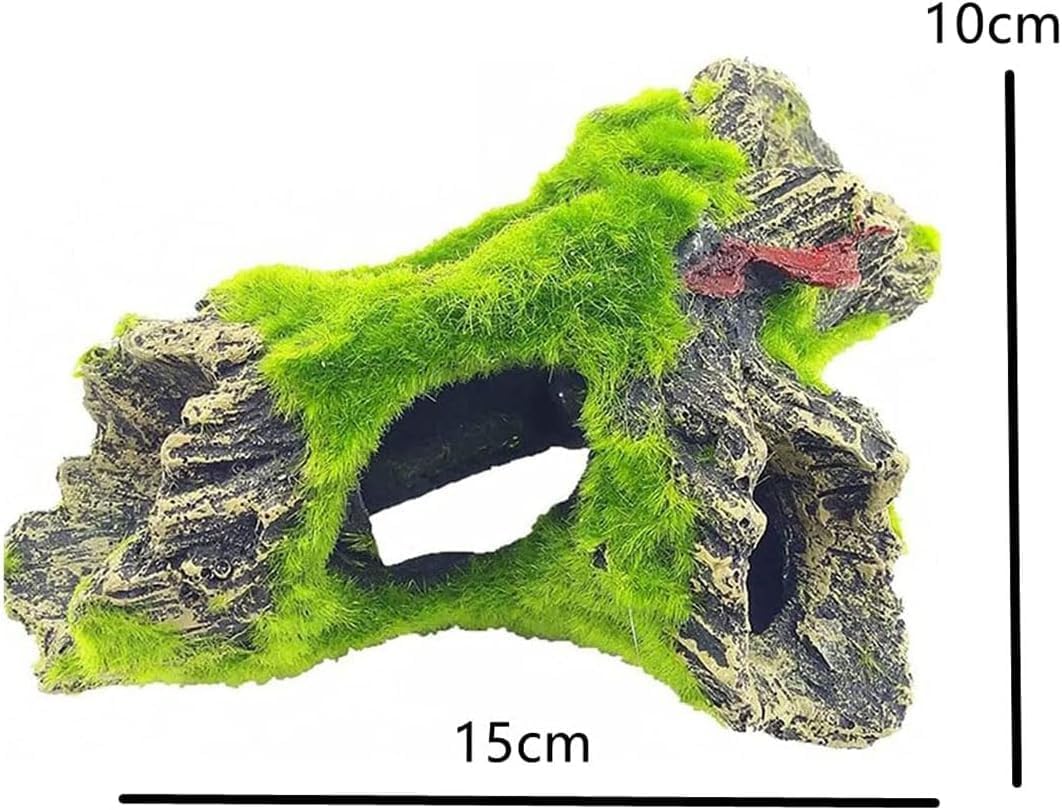 61IKKvBgTCL. AC SL1062 .jpg