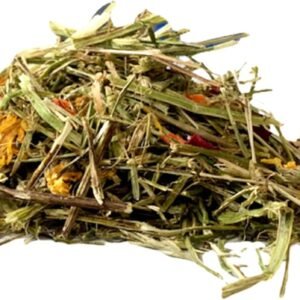 61IXKf8W8dL. AC SL1500 .jpg