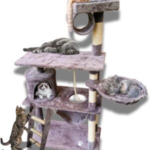 61IwKcyEcsL. AC SL1200 .jpg