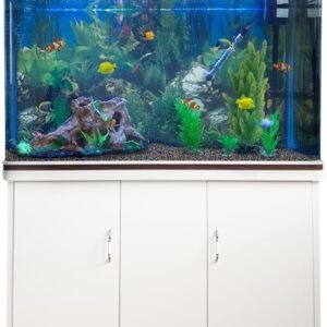 61JO5QsgrKL. AC SL1200 .jpg