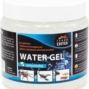 61JRKuNU2KL. AC SL1000 .jpg