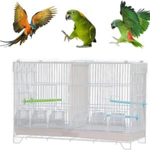 61JTt5mKk2L. AC SL1000 .jpg