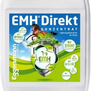 61KADKgSwdL. AC SL1280 .jpg