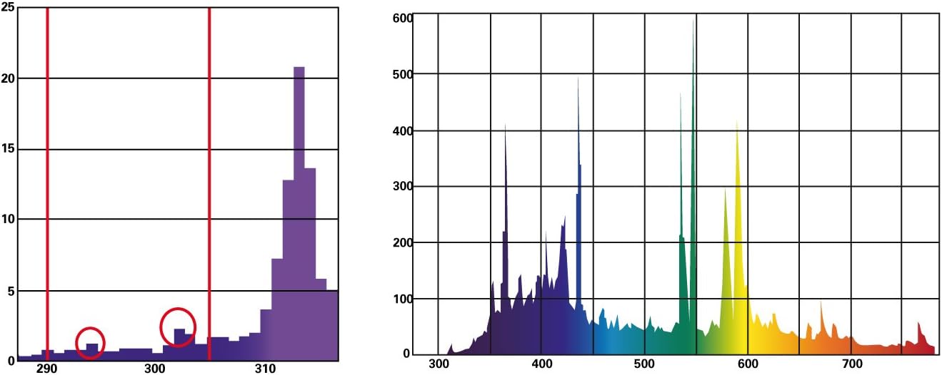 61KKdImnYiL. AC SL1344 .jpg