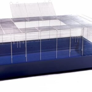 61KuZbXESL. AC SL1000 .jpg