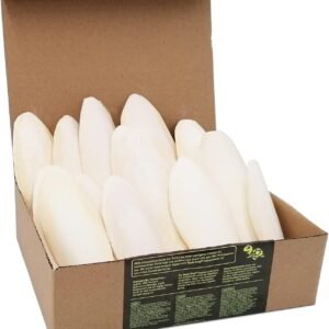 61LmxnQ4IaL. AC SL1500 .jpg