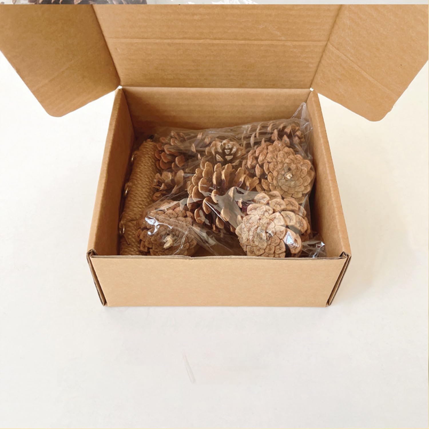 61LpRZOWqL. AC SL1500 .jpg