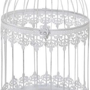 61LzGu5sbCL. AC SL1000 .jpg