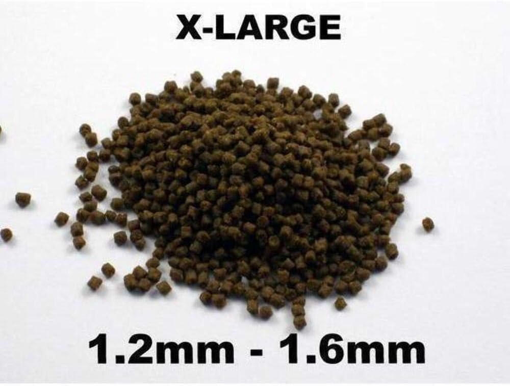 61MBJDn6WL. AC SL1000 .jpg