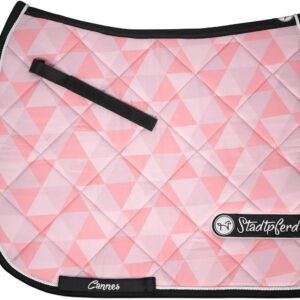 61MIiHF3gfL. AC SL1200 .jpg