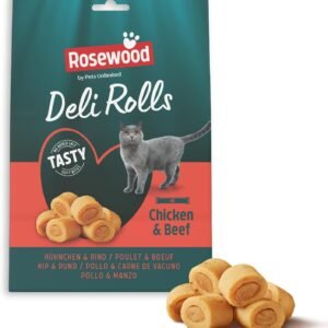 61MWuT5sk6L. AC SL1500 .jpg