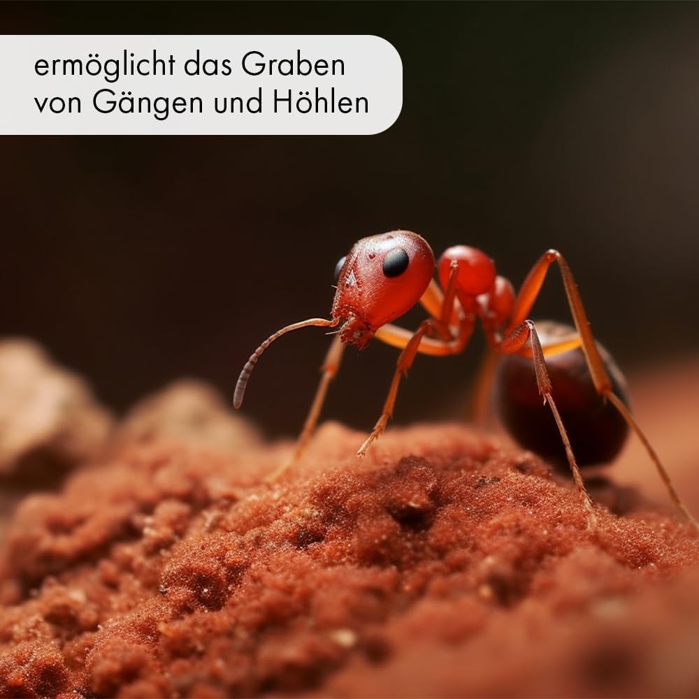 61N1MWN1D9L. AC SL1000 .jpg