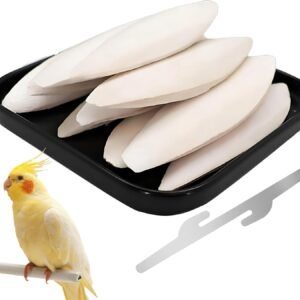 61N5Z5hP9fL. AC SL1500 .jpg