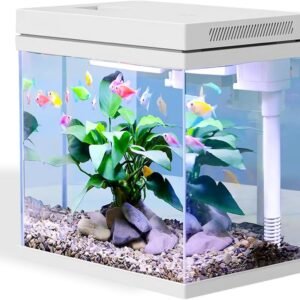 61NFVFaqe9L. AC SL1200 .jpg