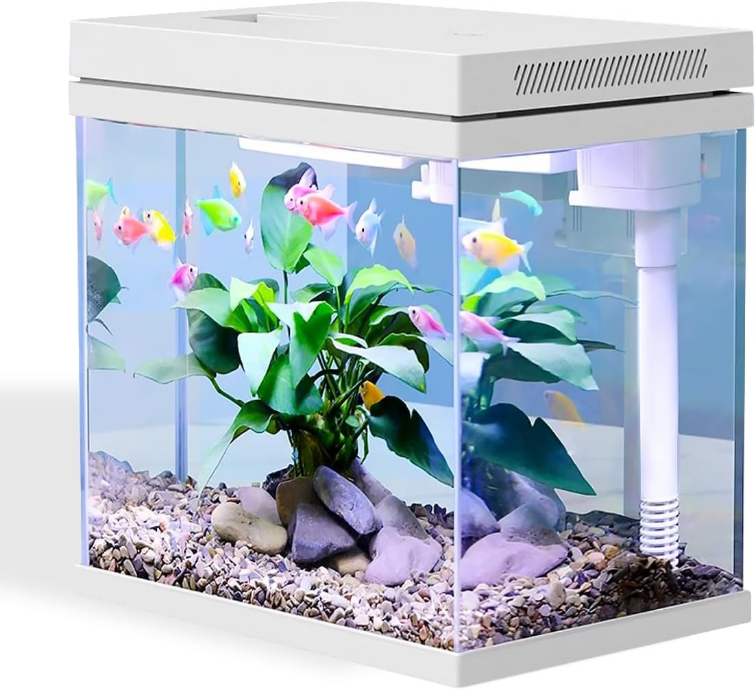 10 l Aquarium, Nano-Glas-Aquarium, Upgrade-Filtersystem und LED-Licht, Süßwasser-Meeres-Filterbälle im Lieferumfang enthalten (weiß, 10 l) 10 l Aquarium, Nano-Glas-Aquarium, Upgrade-Filtersystem und LED-Licht, Süßwasser-Meeres-Filterbälle im Lieferumfang enthalten (weiß, 10 l)