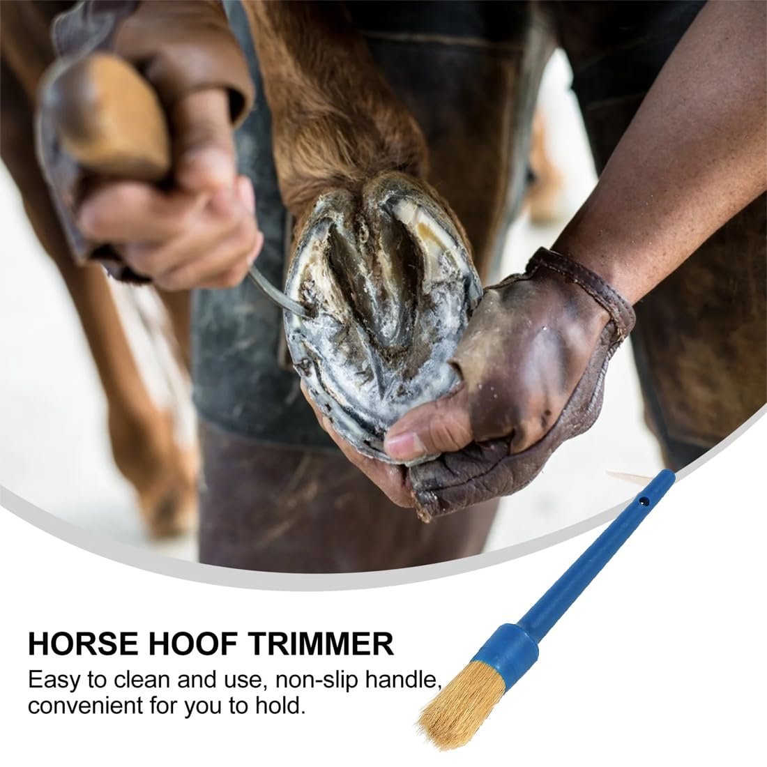 61NOvSzJbFL. SL1100 .jpg