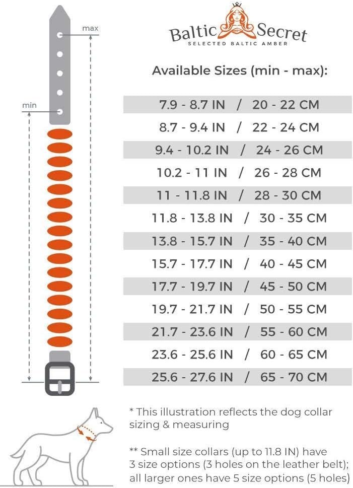 61Nq8WyO9dL. AC SL1024 .jpg