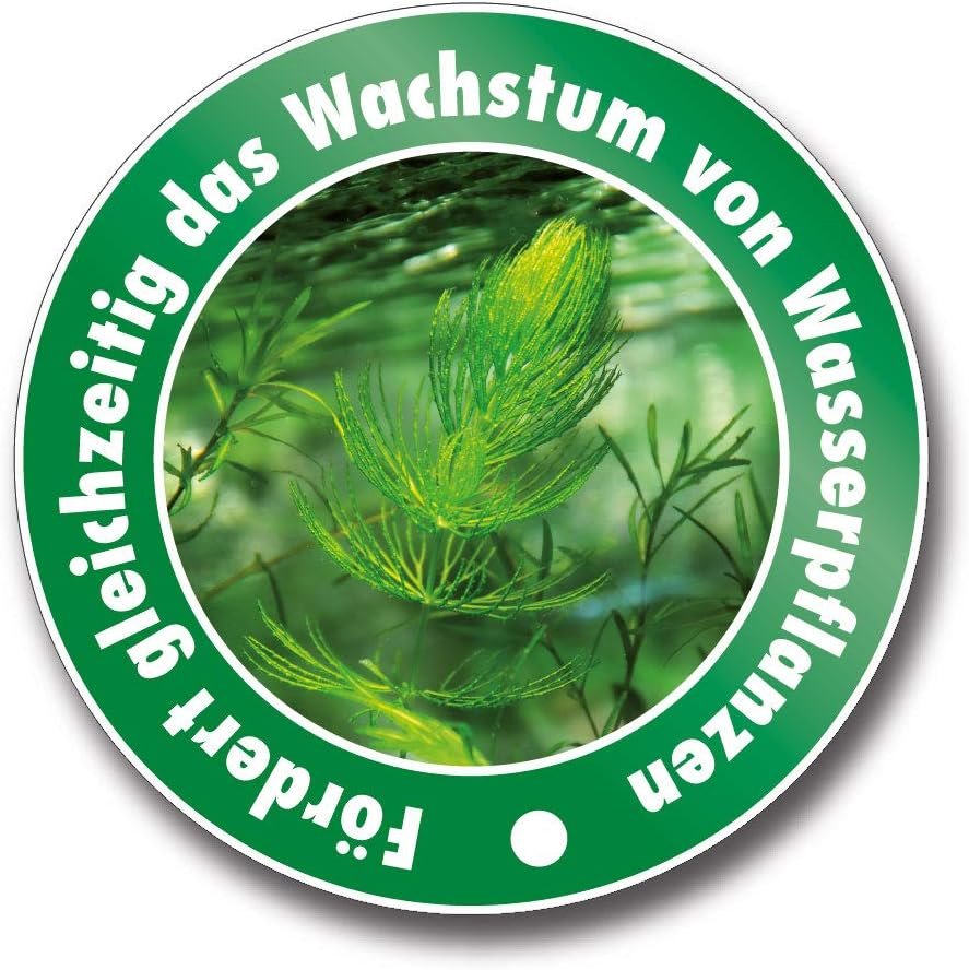 61NvYoPIIL. AC SL1000 .jpg